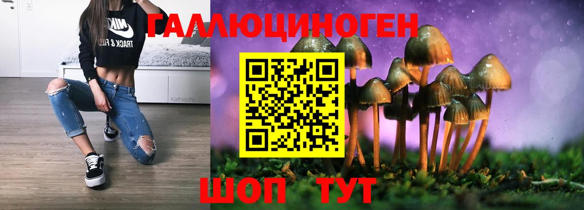 Псилоцибиновые грибы Psilocybe Дзержинск